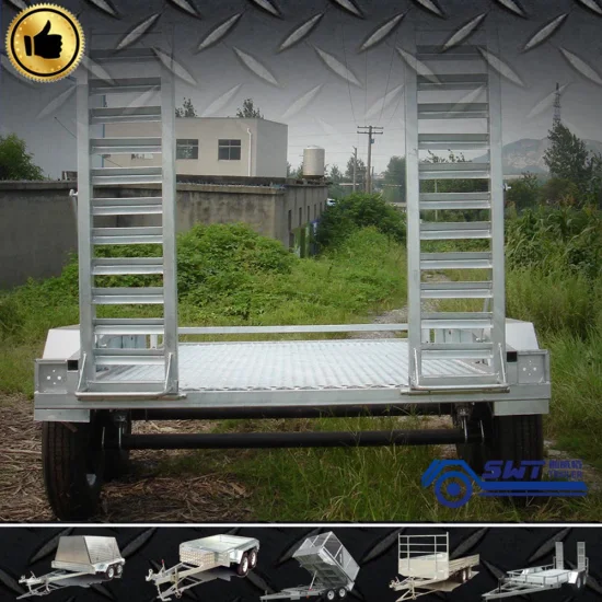 Special Customized Applied Trailer for Equipment Plant (SWT